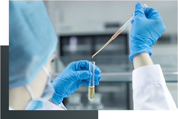 叶酸及四氢叶酸